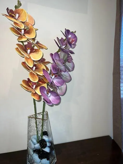 One Woodbrook Place Luxury Rentals With City View Port of Spain